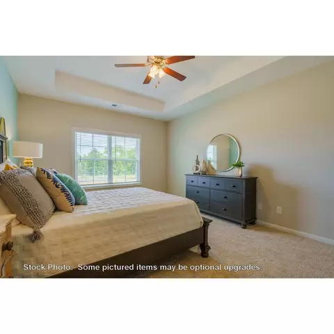 244 Doolittle Dr, Chapin, SC 29036 photo 17