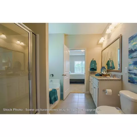244 Doolittle Dr, Chapin, SC 29036 photo 20