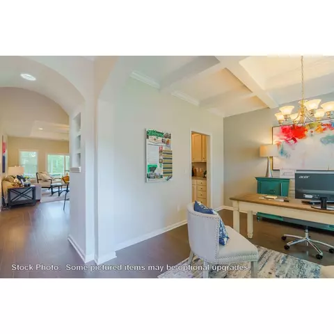 244 Doolittle Dr, Chapin, SC 29036 photo 15