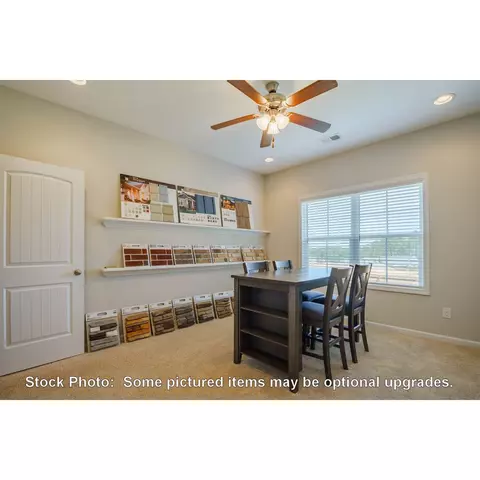 244 Doolittle Dr, Chapin, SC 29036 photo 24