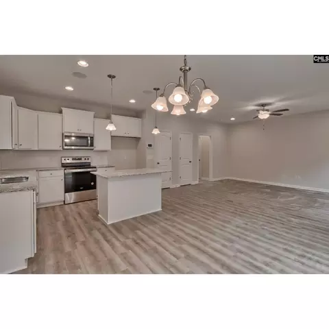 Other - 317 Roundup Trl, Irmo, SC 29063 photo 3 of 10