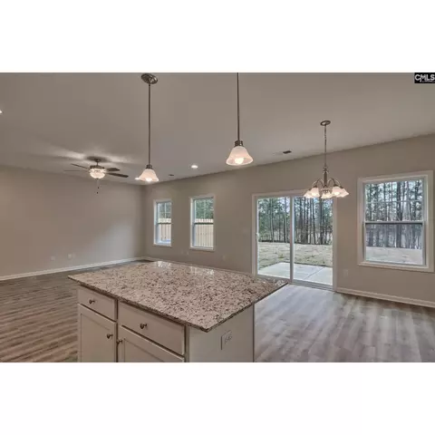 Other - 317 Roundup Trl, Irmo, SC 29063 photo 4 of 10