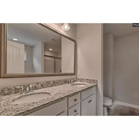 Bath - 317 Roundup Trl, Irmo, SC 29063 photo 3 of 6