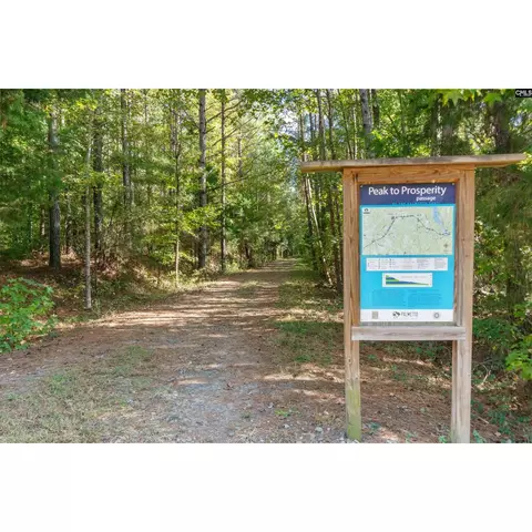 View/Area - 317 Roundup Trl, Irmo, SC 29063 photo 1 of 1
