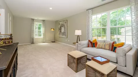 539 Torrens Dr, Gilbert, SC 29054 photo 21