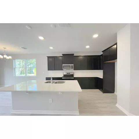 1408 Lumpini St, Saint Cloud, FL 34771 photo 11