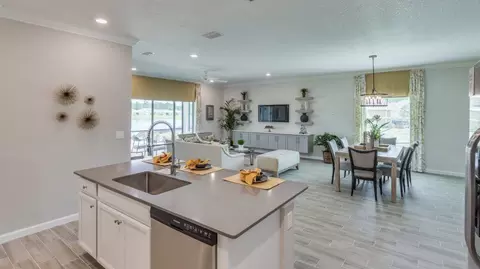 264 Blue Cypress Tr, Saint Augustine, FL 32084 photo 19
