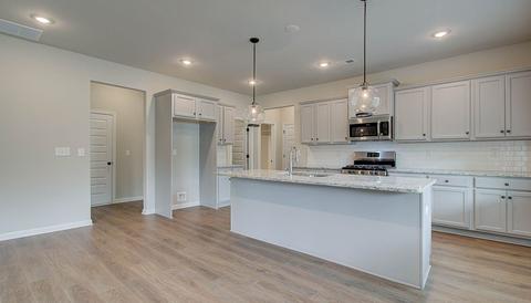 340 Denton Way, Hampton, GA 30228 photo 12