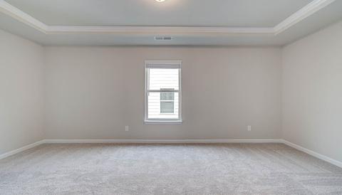 340 Denton Way, Hampton, GA 30228 photo 19