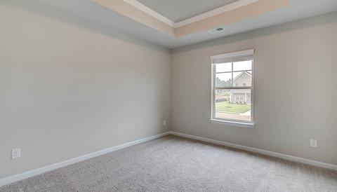 340 Denton Way, Hampton, GA 30228 photo 17