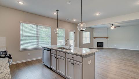 340 Denton Way, Hampton, GA 30228 photo 14