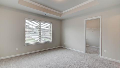 340 Denton Way, Hampton, GA 30228 photo 18