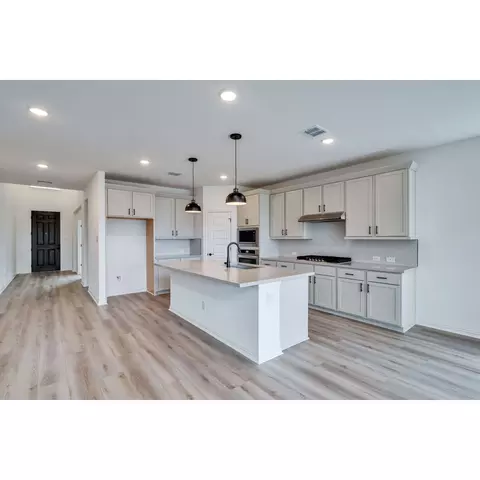 209 Durian Loop, Buda, TX 78610 photo 5