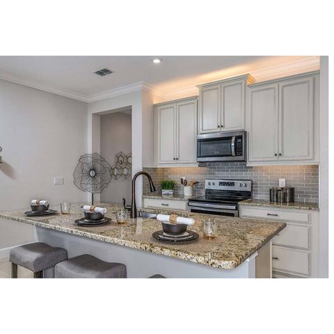4196 Cloud Hopper Way, Lutz, FL 33559 photo 6