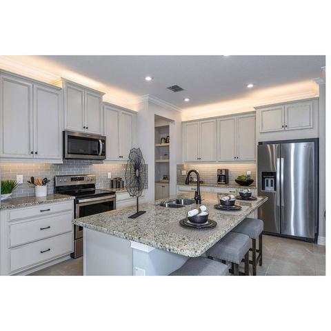 4196 Cloud Hopper Way, Lutz, FL 33559 photo 3