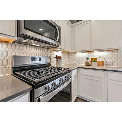 12510 Penguin Path, Manor, TX 78653 photo 6