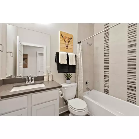 12510 Penguin Path, Manor, TX 78653 photo 9