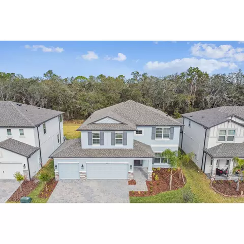 View/Area - 5020 Bromeliad Ave, Wimauma, FL 33598 photo 3 of 7