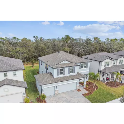 View/Area - 5020 Bromeliad Ave, Wimauma, FL 33598 photo 5 of 7