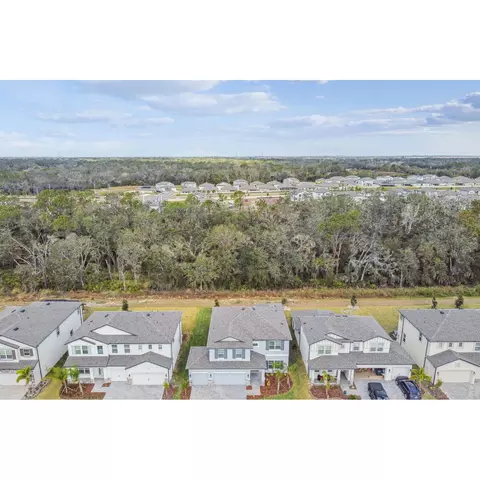 View/Area - 5020 Bromeliad Ave, Wimauma, FL 33598 photo 2 of 7