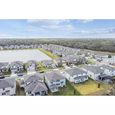 View/Area - 5020 Bromeliad Ave, Wimauma, FL 33598 photo 6 of 7