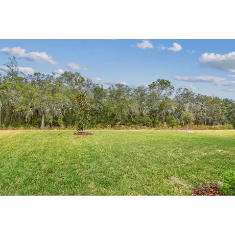 Exterior - 5020 Bromeliad Ave, Wimauma, FL 33598 photo 5 of 9