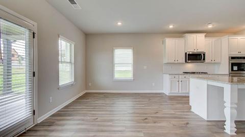 408 Traditions Ln, Hampton, GA 30228 photo 35