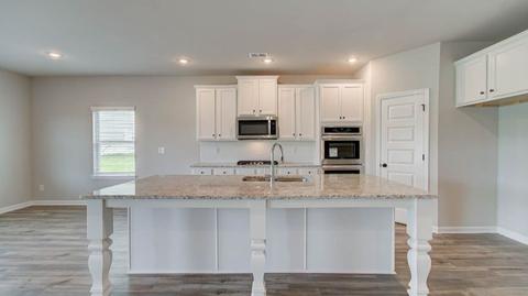 408 Traditions Ln, Hampton, GA 30228 photo 34