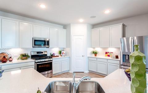 16632 Garden Dr, Celina, TX 75009 photo 8