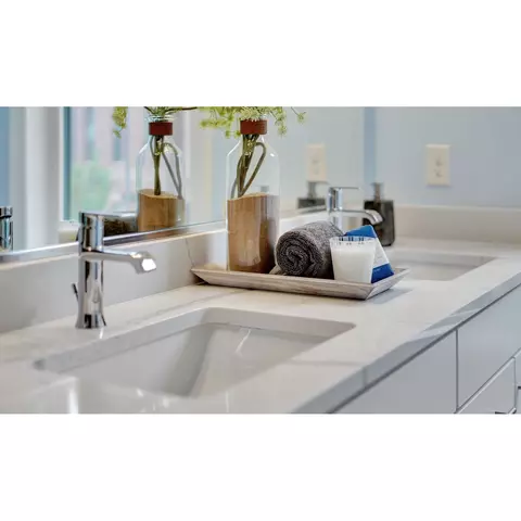 Bath - 21950 Garganey Ter UNIT 201, Ashburn, VA 20147 photo 3 of 5