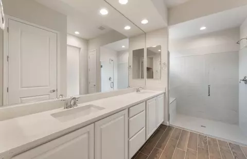 Bath - 26920 W Maple Dr, Buckeye, AZ 85396 photo 3 of 4