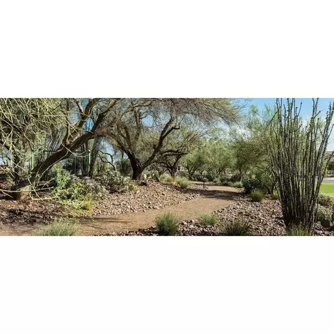 View/Area - 25940 N 22nd Ln, Phoenix, AZ 85085 photo 7 of 12