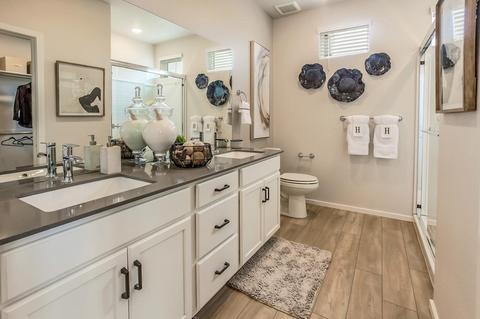2296 Setting Sun Dr #7, Windsor, CO 80550 photo 19