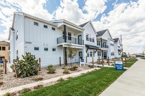 2296 Setting Sun Dr #7, Windsor, CO 80550 photo 29