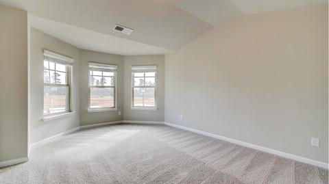380 Traditions Ln, Hampton, GA 30228 photo 45