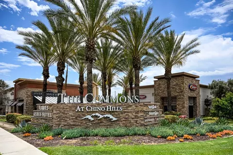 16153 E Preserve Loop, Chino, CA 91708 photo 6