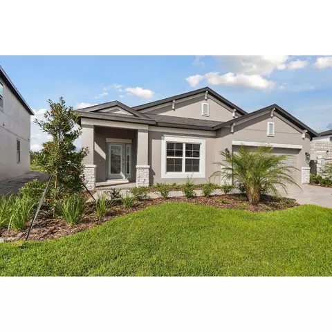 Exterior - 31229 Denham Ridge Ln, Wesley Chapel, FL 33545 photo 9 of 11