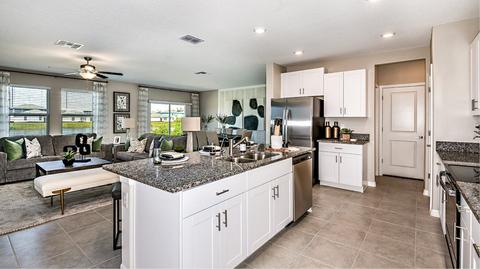 12877 Tripoli Ave, Riverview, FL 33579 photo 30