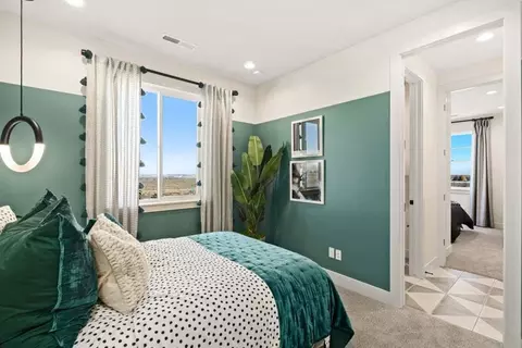 1609 Winter Glow Dr, Windsor, CO 80550 photo 29