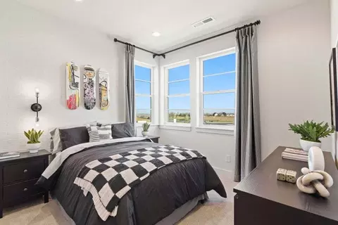 1609 Winter Glow Dr, Windsor, CO 80550 photo 25