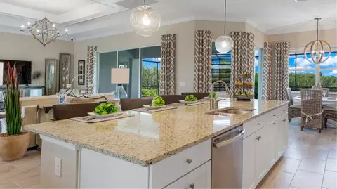 20499 Napa Loop, Estero, FL 33928 photo 16