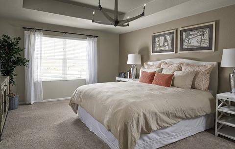 4887 Talbot Pl, Brighton, CO 80601 photo 7