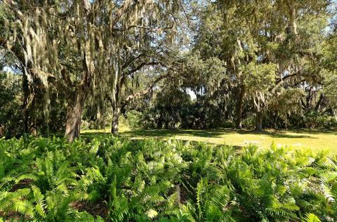 4312 Rustling Pines Ter, Parrish, FL 34219 photo 9