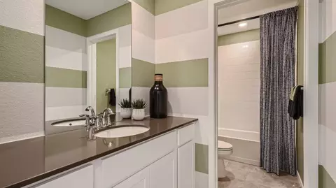 Bath - 4256 Apple Cider St, Timnath, CO 80547 photo 1 of 2