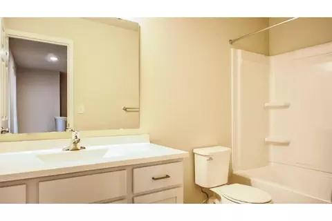 13840 Kaleidoscope Dr, Dewitt, MI 48820 photo 31