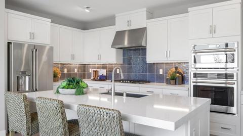 303 Lynx, Irvine, CA 92618 photo 2