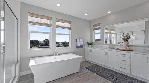 303 Lynx, Irvine, CA 92618 photo 31