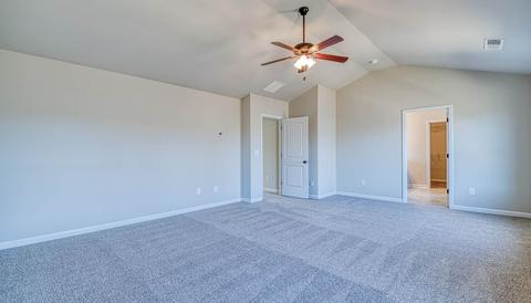 309 Denton Way, Hampton, GA 30228 photo 19