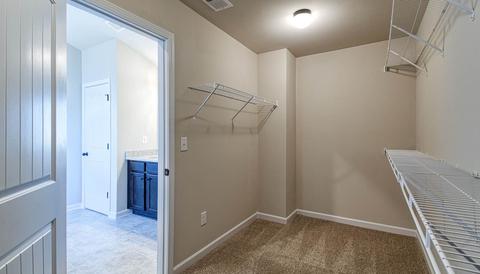 309 Denton Way, Hampton, GA 30228 photo 22