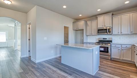 309 Denton Way, Hampton, GA 30228 photo 9